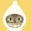 猫印計画