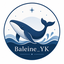 Baleine_YK