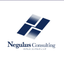 Negulus Consulting