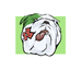 38drow