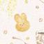 little ┊︎ イラストレーター