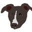 mg_design0501