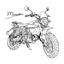 Marcachin_design
