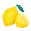 ♡Lemon♡