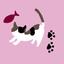 calico cat