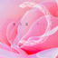 春玉夏