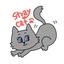 Stray_cat_rikka