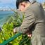 福田元都