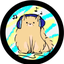 Q_Pom music
