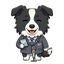 Sora_agentdev
