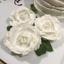 Atelier White Rose