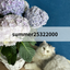 summer25322000