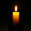 森の燈火
