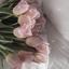 soua_design_