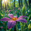 Sun June