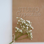 STUDIO Gypsohila
