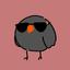 crow_96960