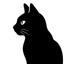 カード占い師　黒猫さきり