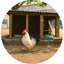sudy_3219