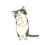 きんみらい