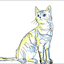 かきくねこ