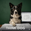 ThinkDog