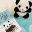 NaturalPanda
