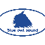 BlueOwlSound