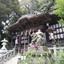 WillShrine