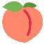 shuki_