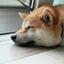 Jisoo_M  データ入力・事務代行