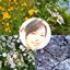 SHIMIZU‐SA