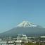 高野N
