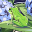 辻斬りサブレ