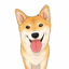 02kichi14