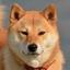 柴犬（猫派）