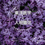 ninsoudehappy