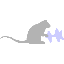 emp_Illust＆Live2D