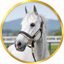 HORSE　LOVER　FACTORY