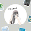 Chimoe  web制作