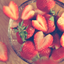 ichigo_tea