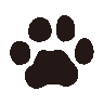 UserIcon