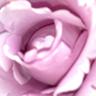 UserIcon