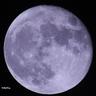 UserIcon