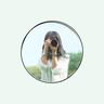 UserIcon