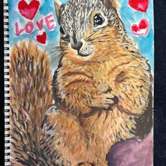 squirrel