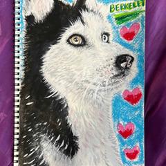 Husky
