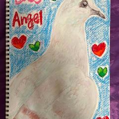 Baby pigeon Angel
