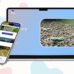 ビーシュリンプのポートフォリオサイト