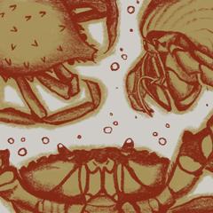 カニのイラスト